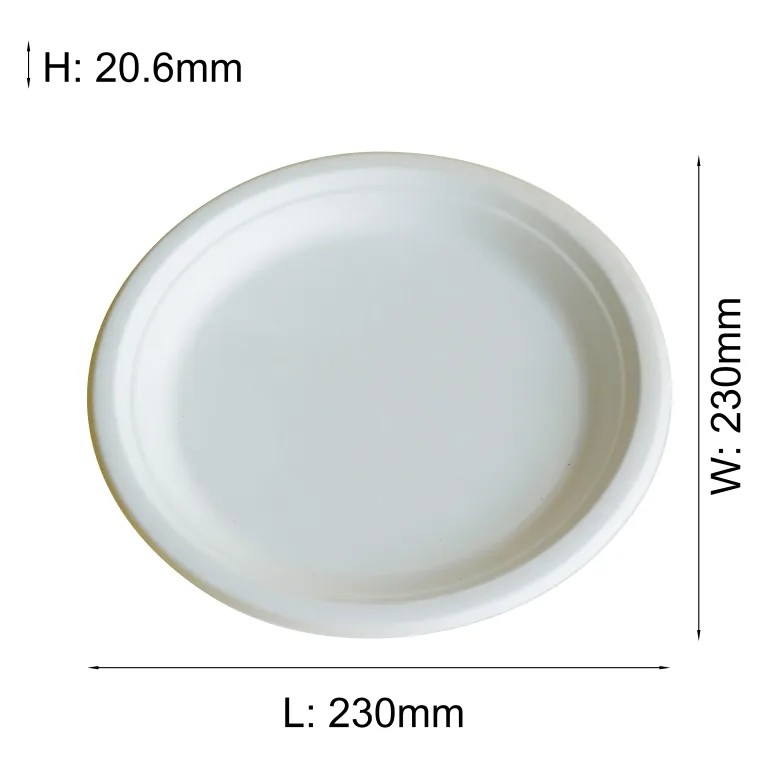 Paper Tableware Products