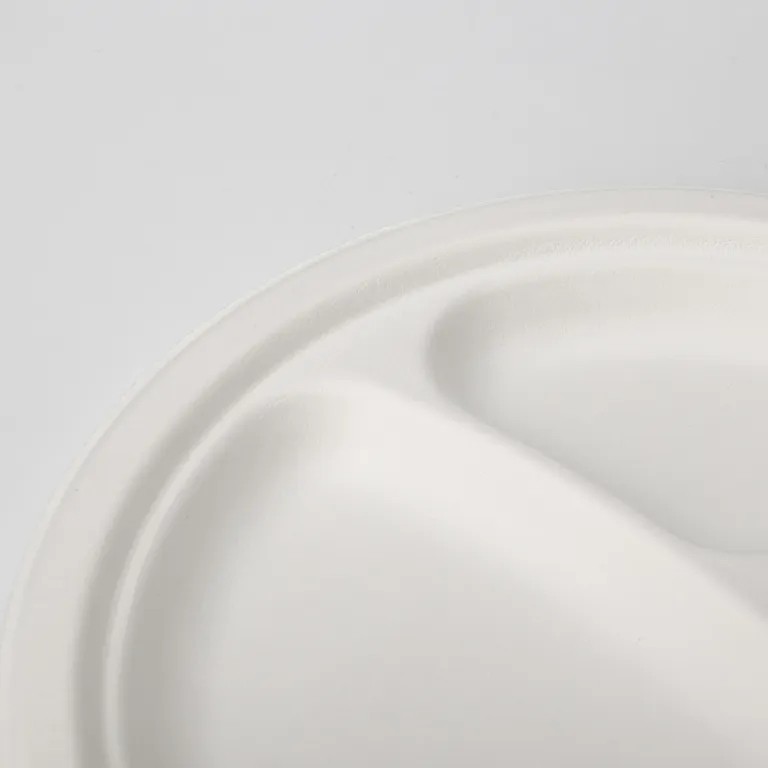 Disposable & Biodegradable Plate