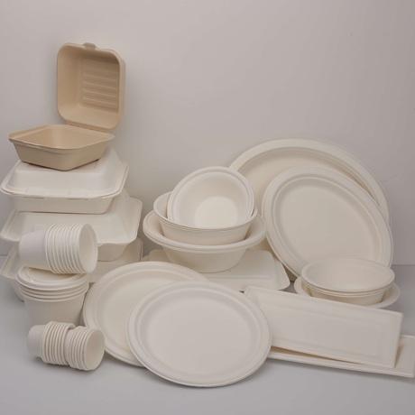 Automatización de la producción en fábrica: vajilla de pulpa de papel
